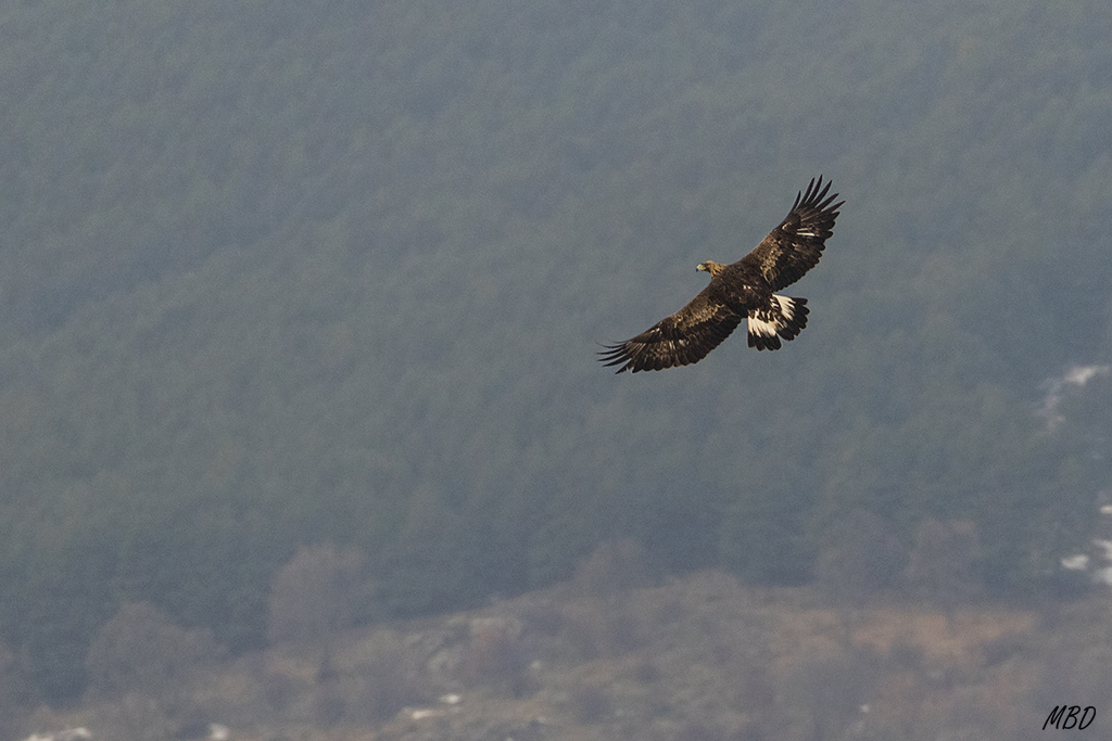 Hace un par de pasadas