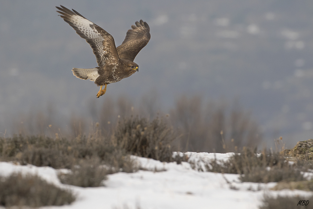 Cae la noche. Hora de partir.