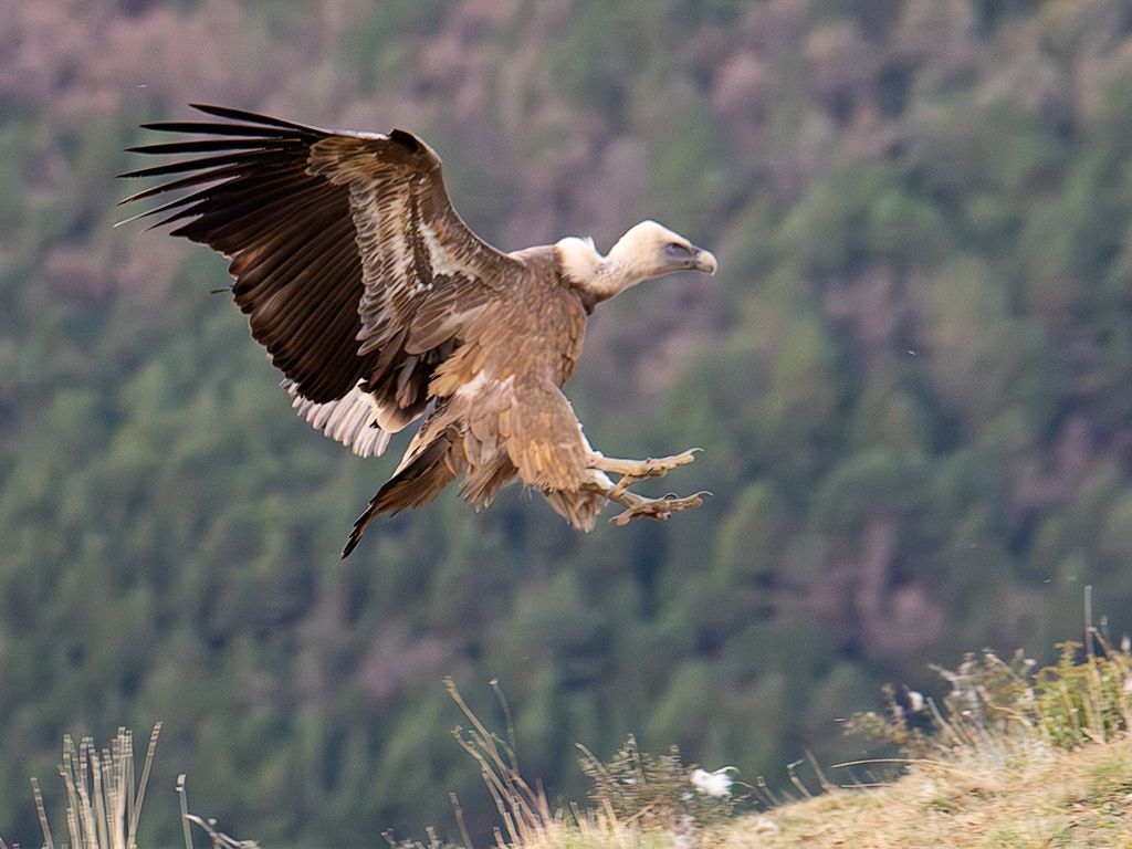 Y siguen llegando...