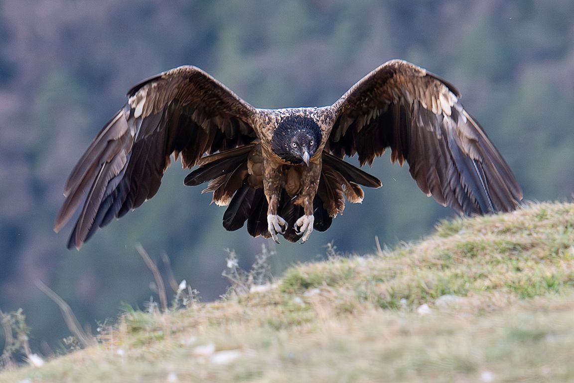 Con cara de pocos amigos