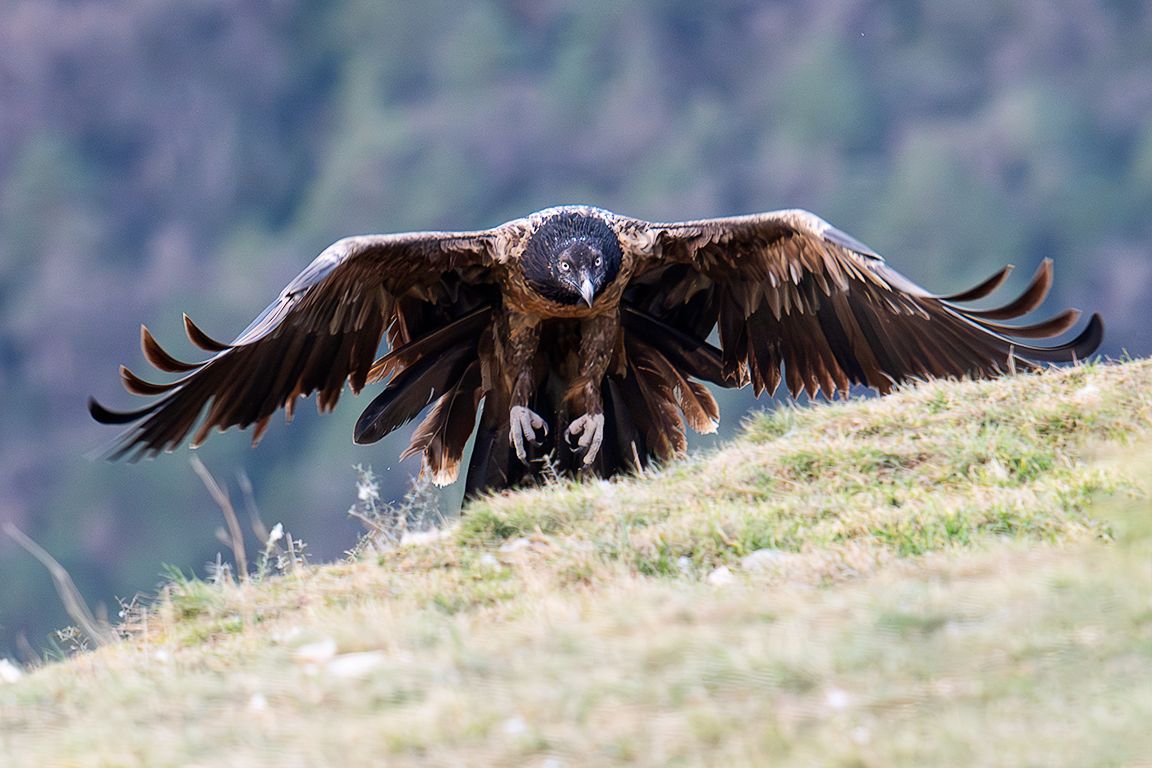 Con cara de pocos amigos