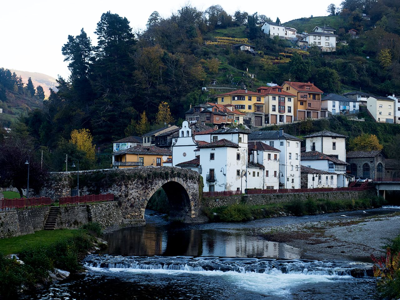 Cangas de Narcea