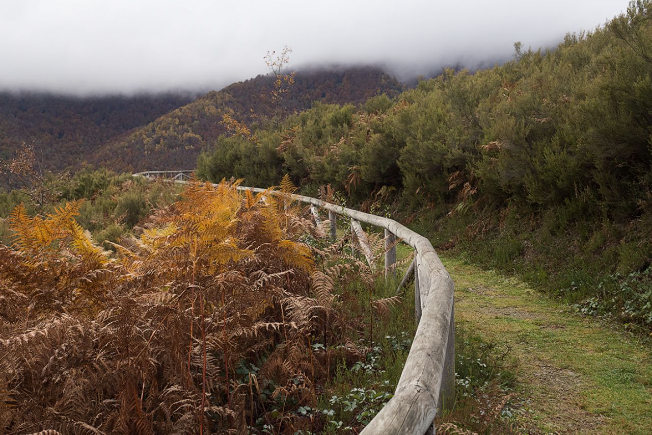 Senderos de Muniellos
