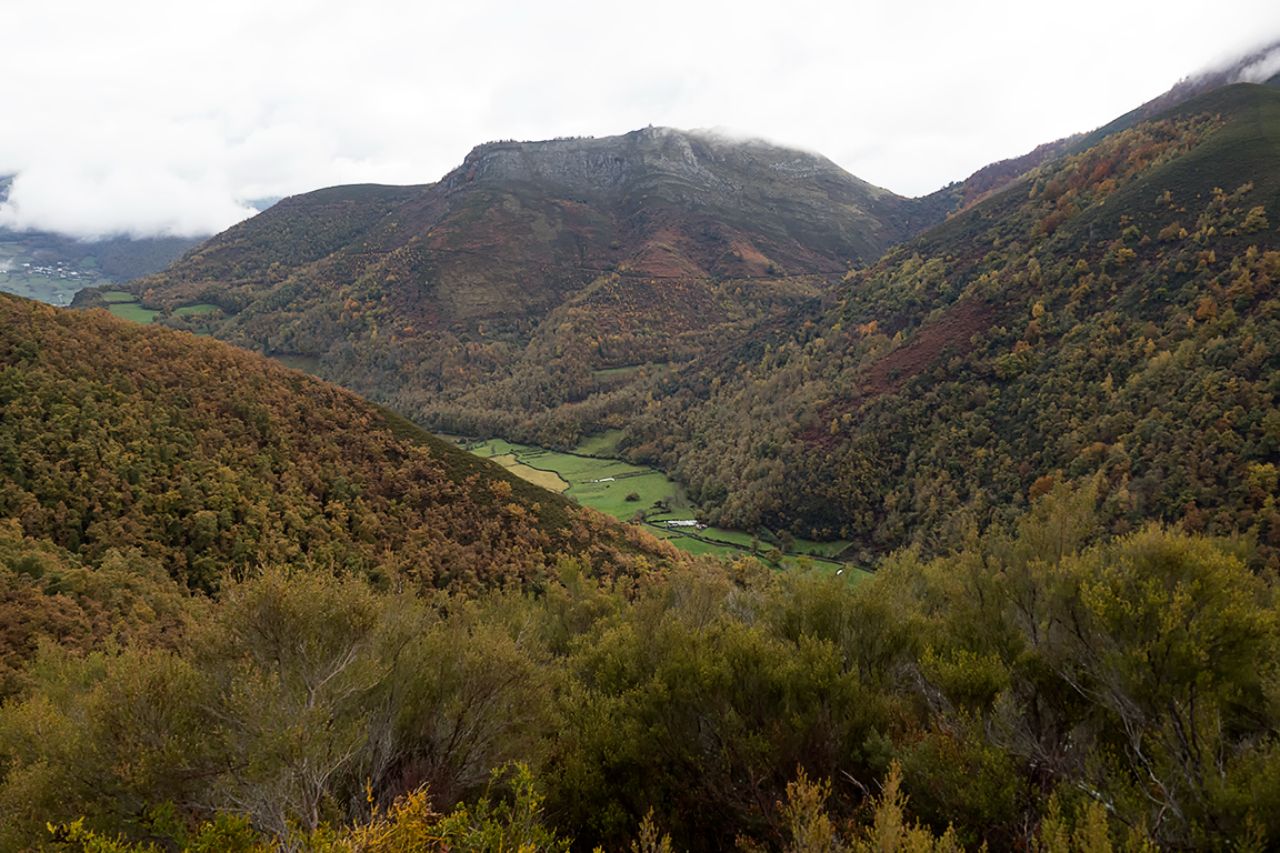 Senderos de Muniellos