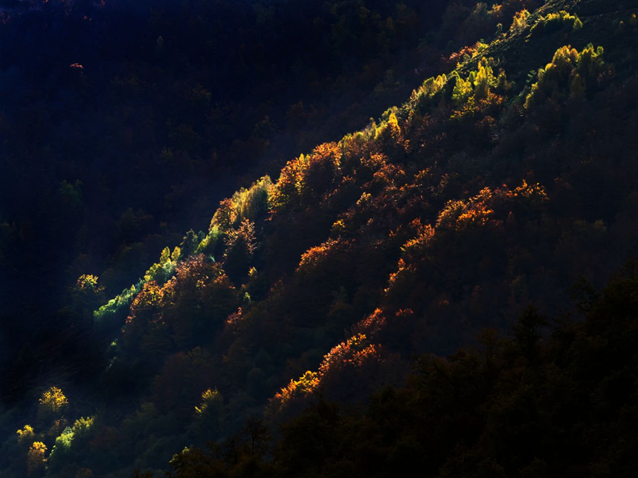 Y luces que los encienden