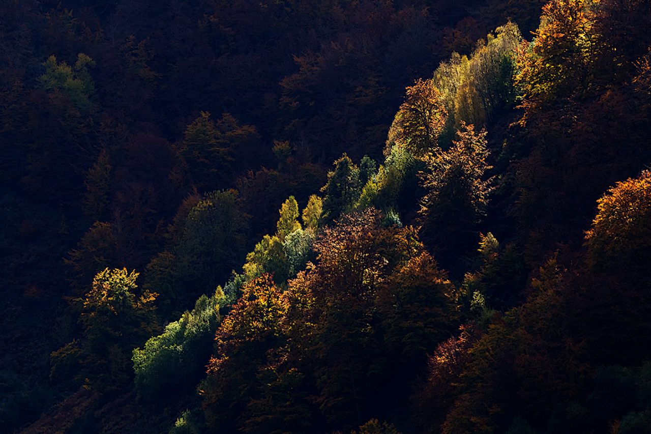 Y luces que los encienden