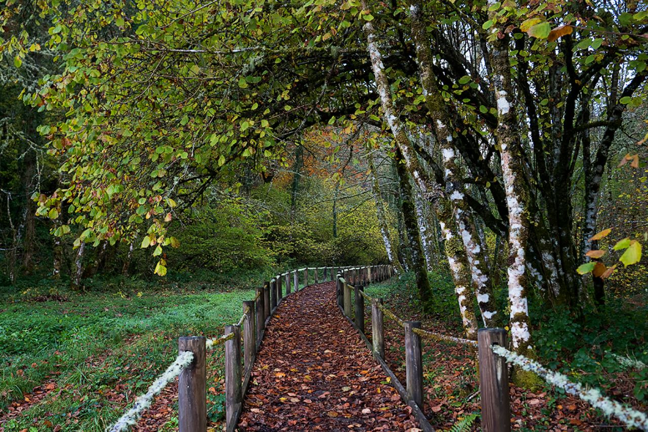 Sendero de las Tablizas