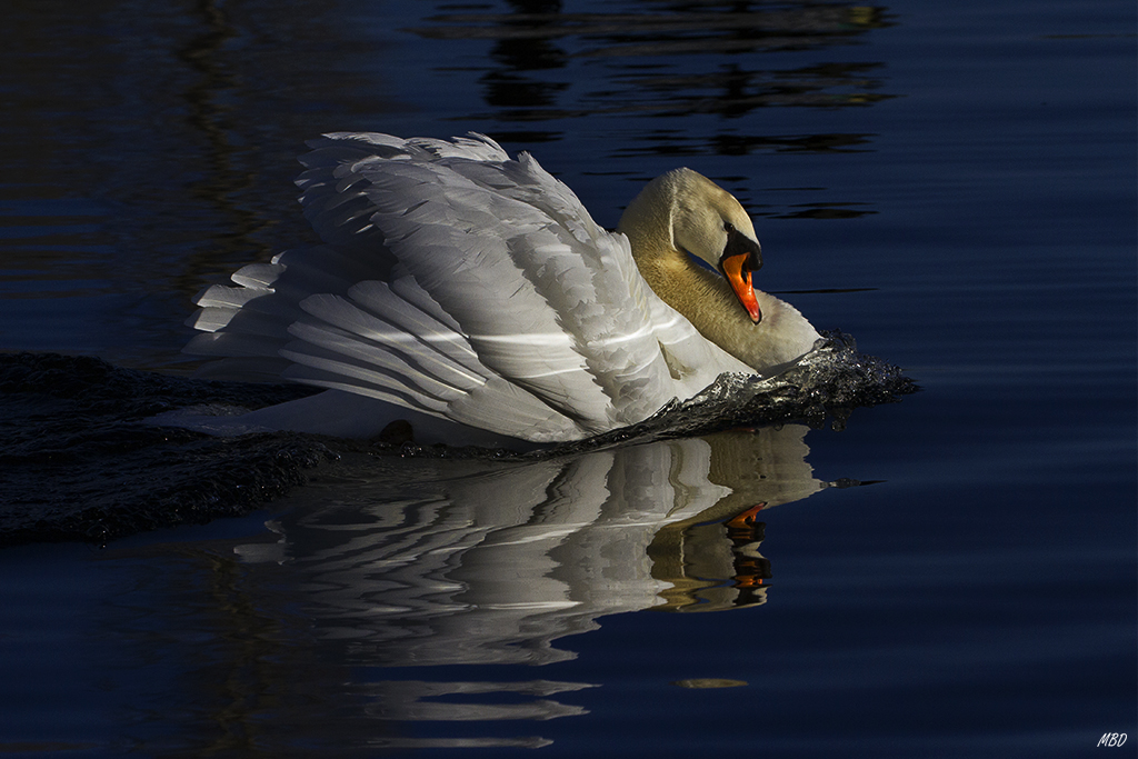 Feb2016. Ajustando esos blancos