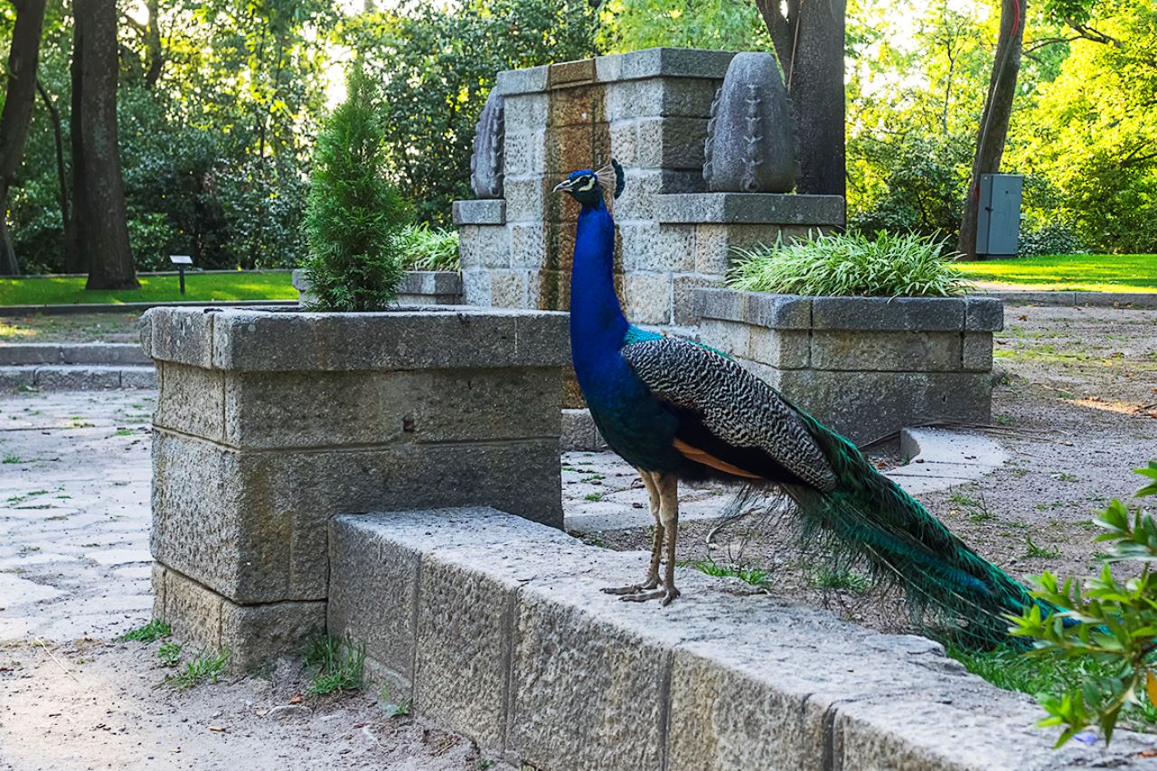 Jardines del Palacio de Cristal