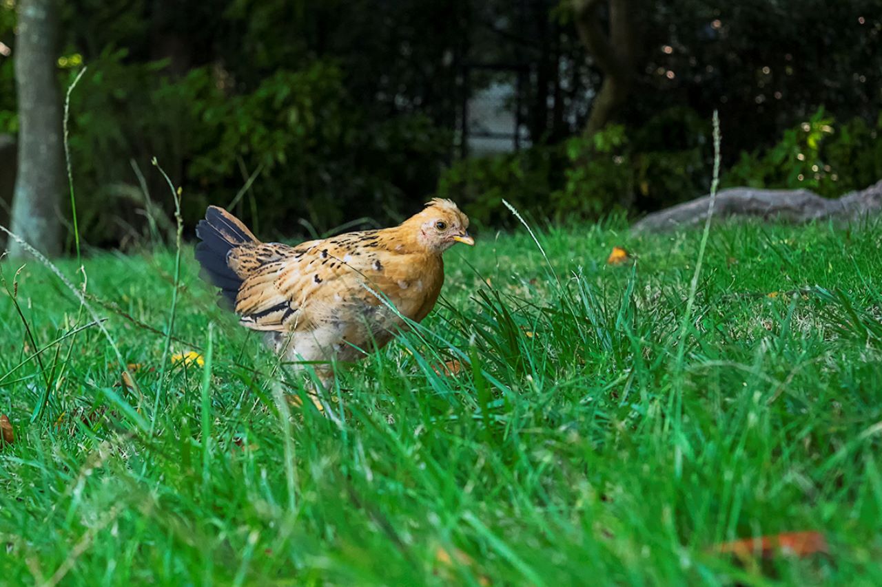 Jardines del Palacio de Cristal