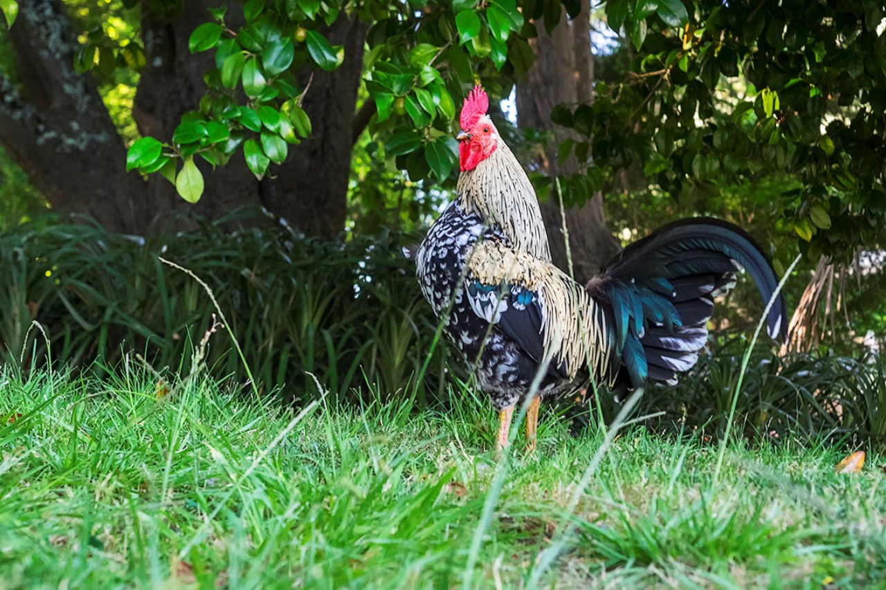 Jardines del Palacio de Cristal