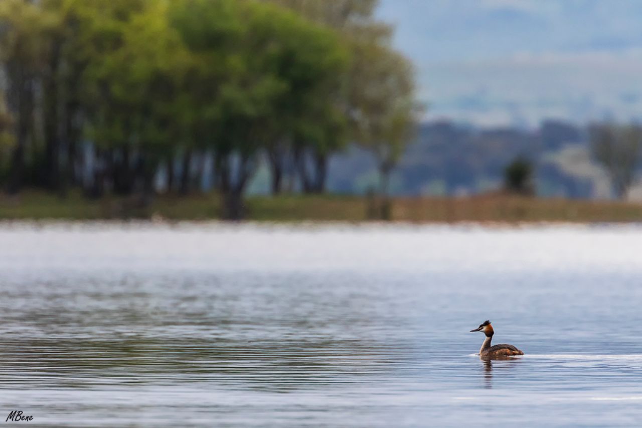 Embalse de Santillana
