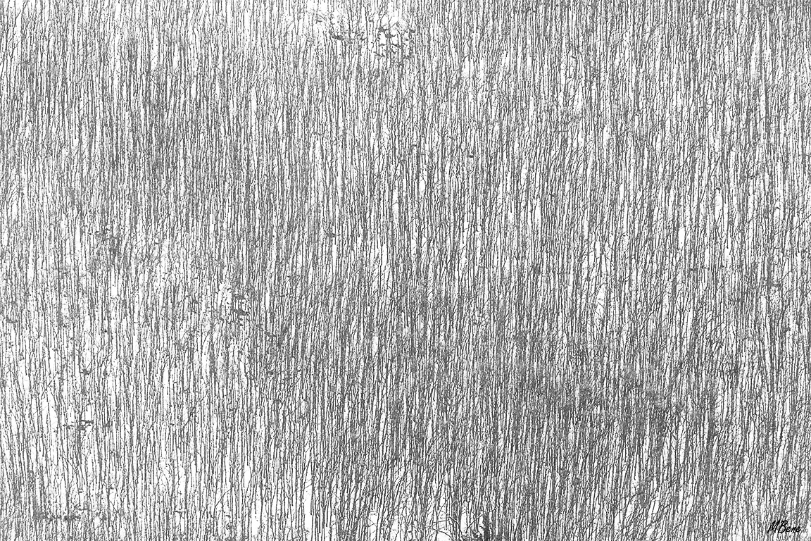 Valle de Lozoya, ene2018