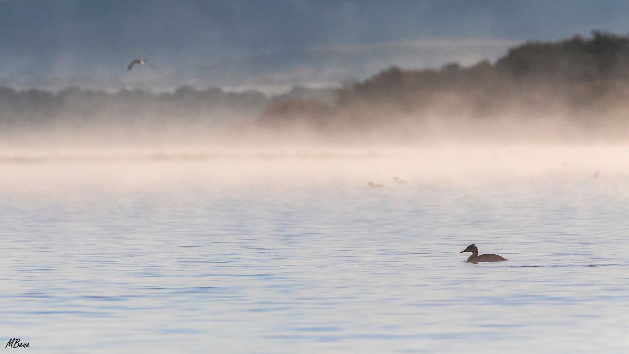 Embalse de Santillana