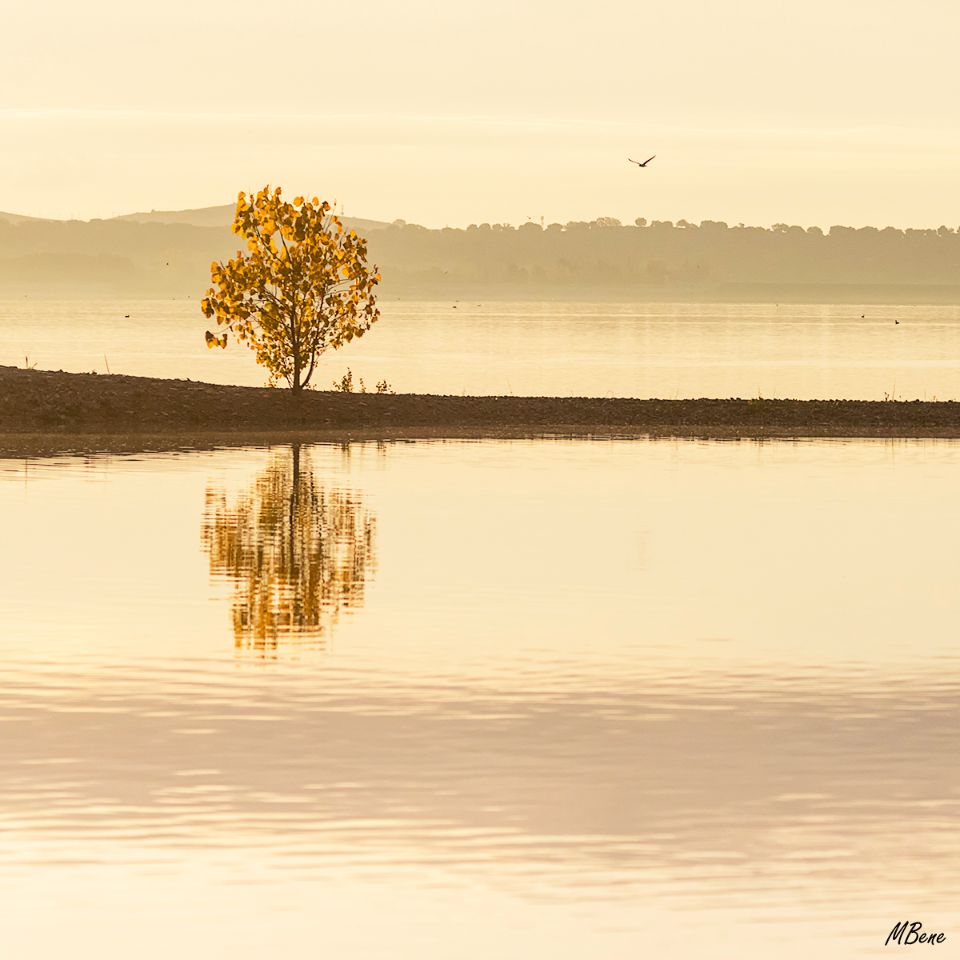 Embalse de Santillana