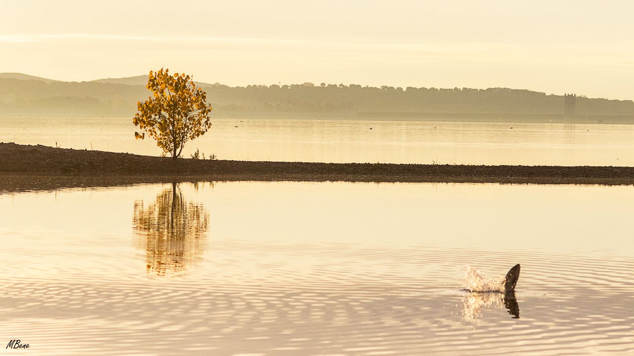 Embalse de Santillana