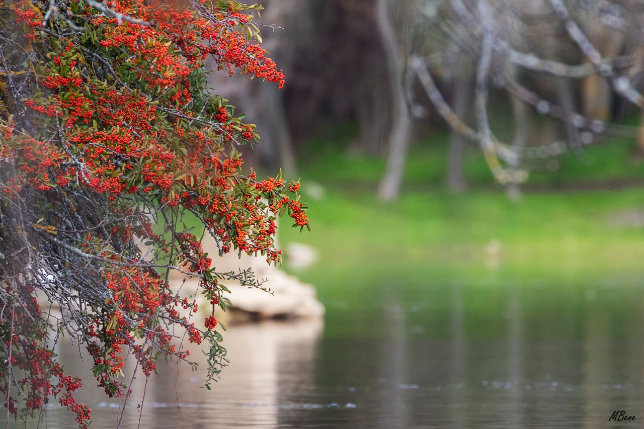 Embalse de Santillana