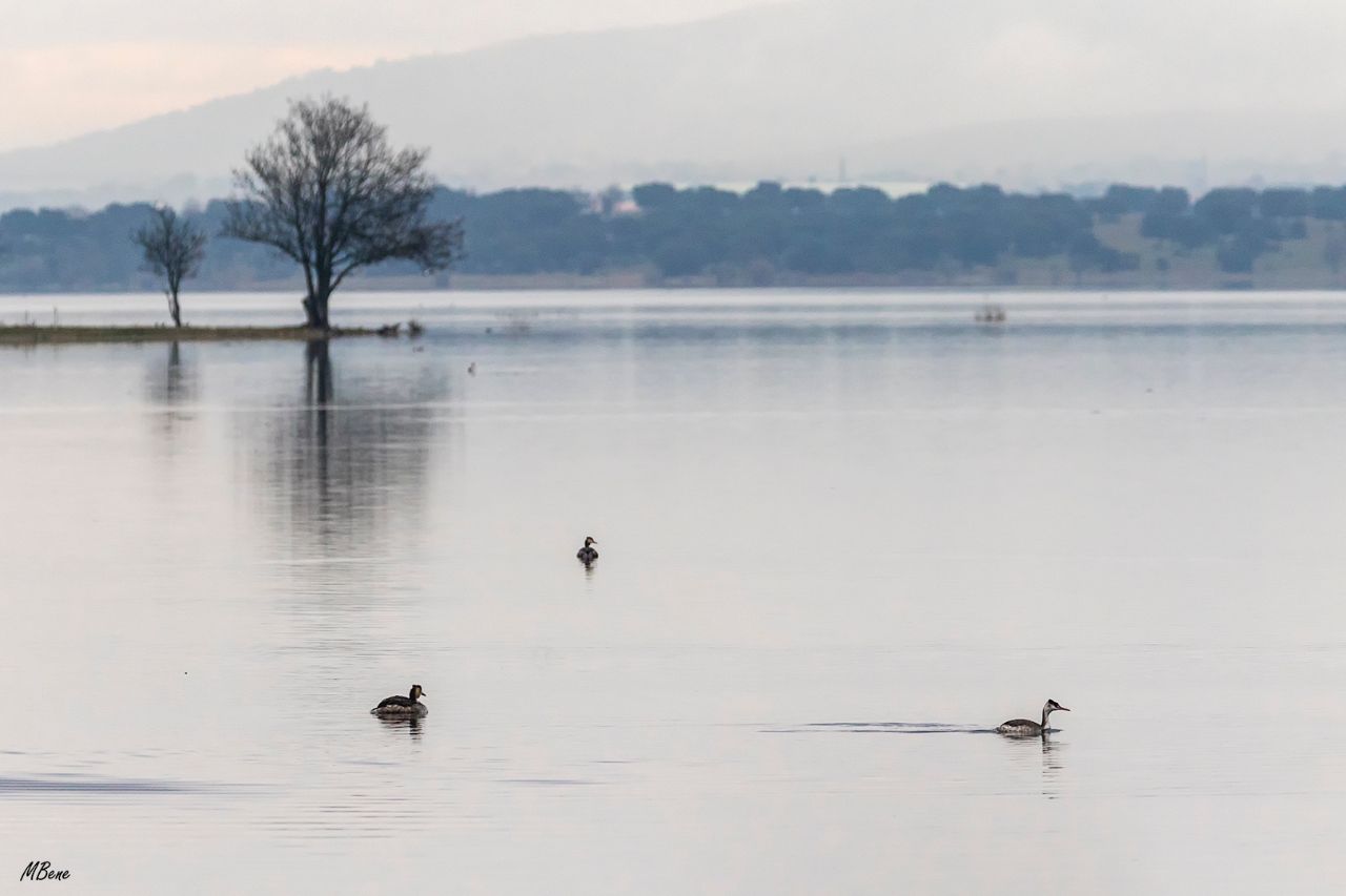Embalse de Santillana