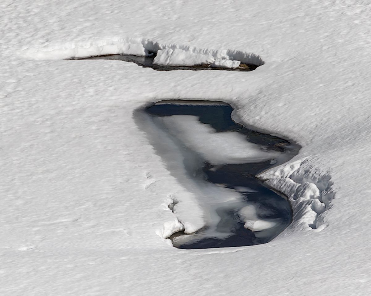 Caricatura en la nieve