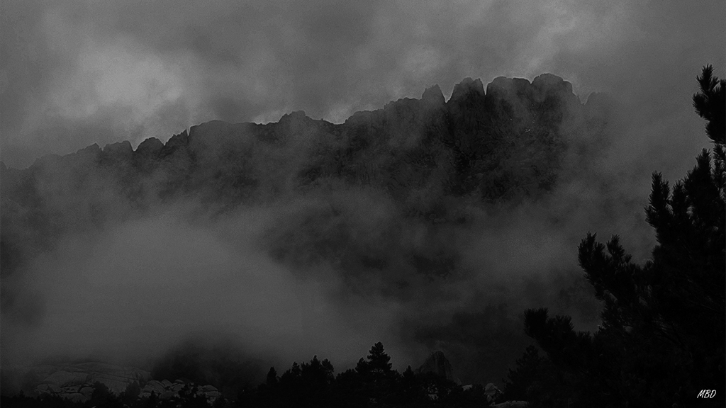 Pedriza, feb2016. Cae el frío entre algodones