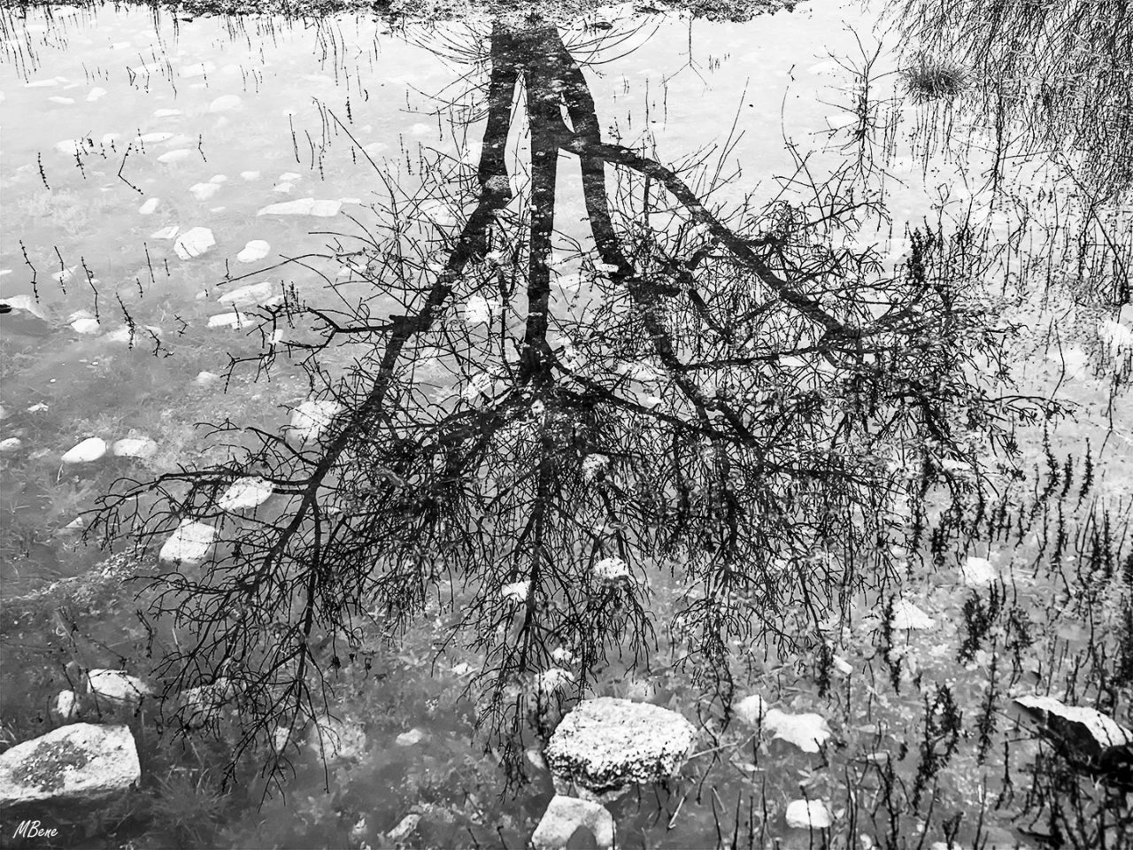 Embalse de Santillana