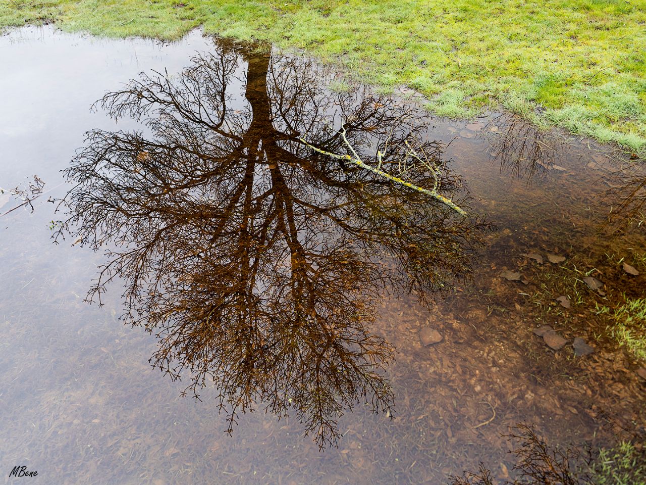Reflejo de invierno