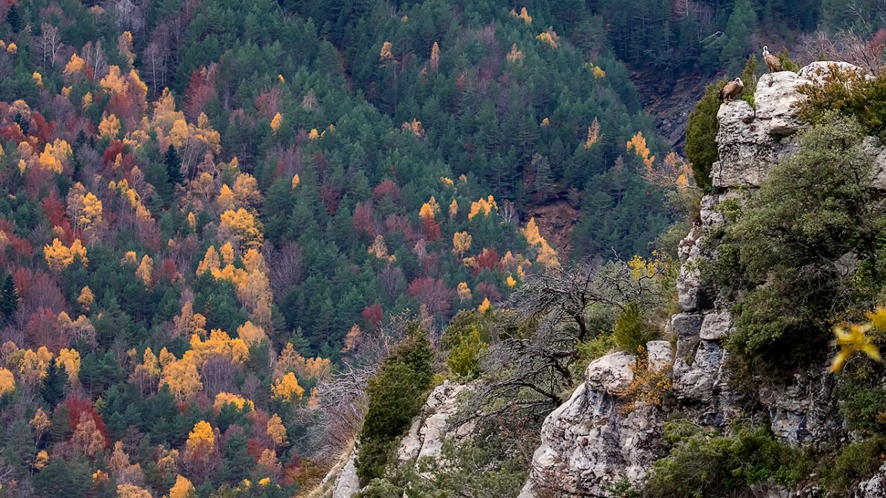 Garganta de Escuaín