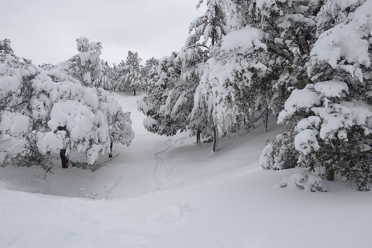 Filomena en Tres Cantos