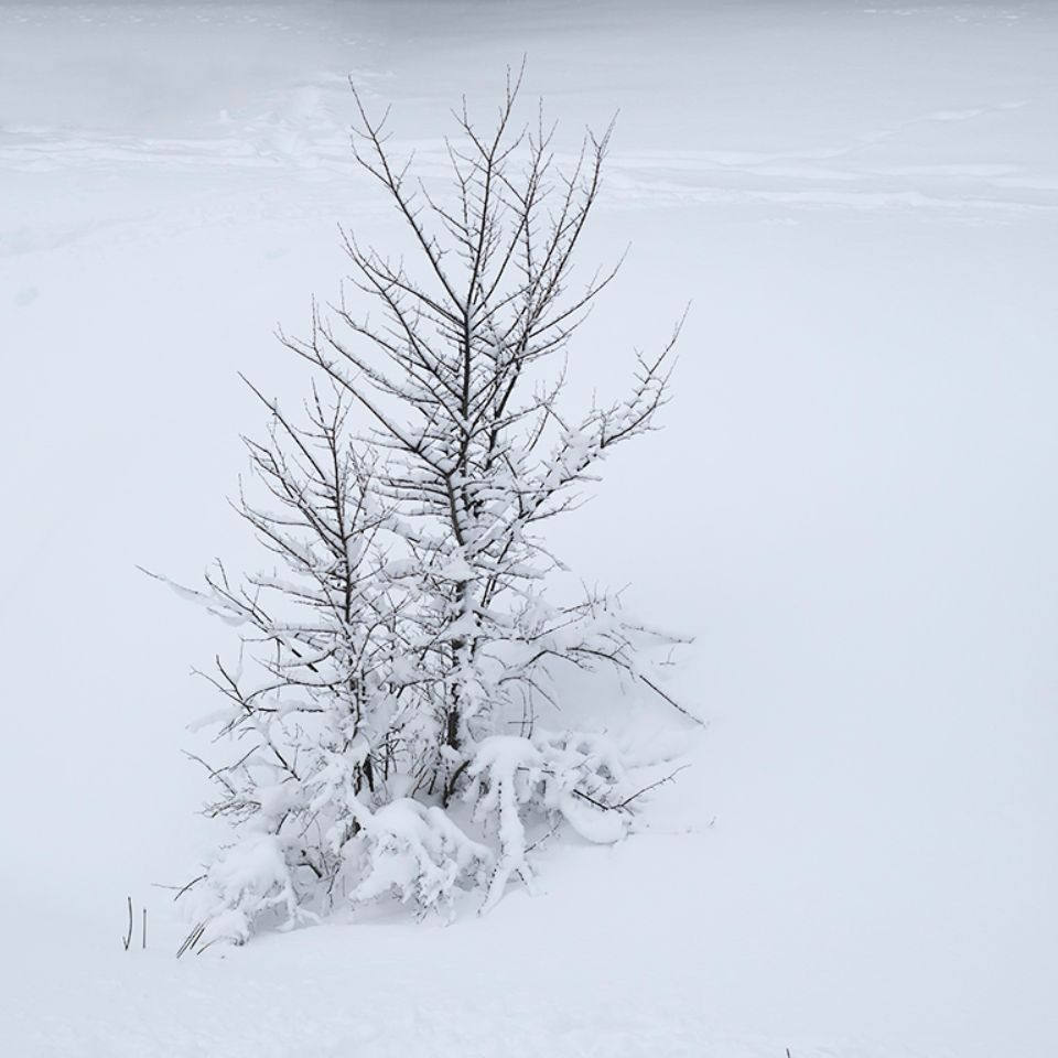 Filomena en Tres Cantos