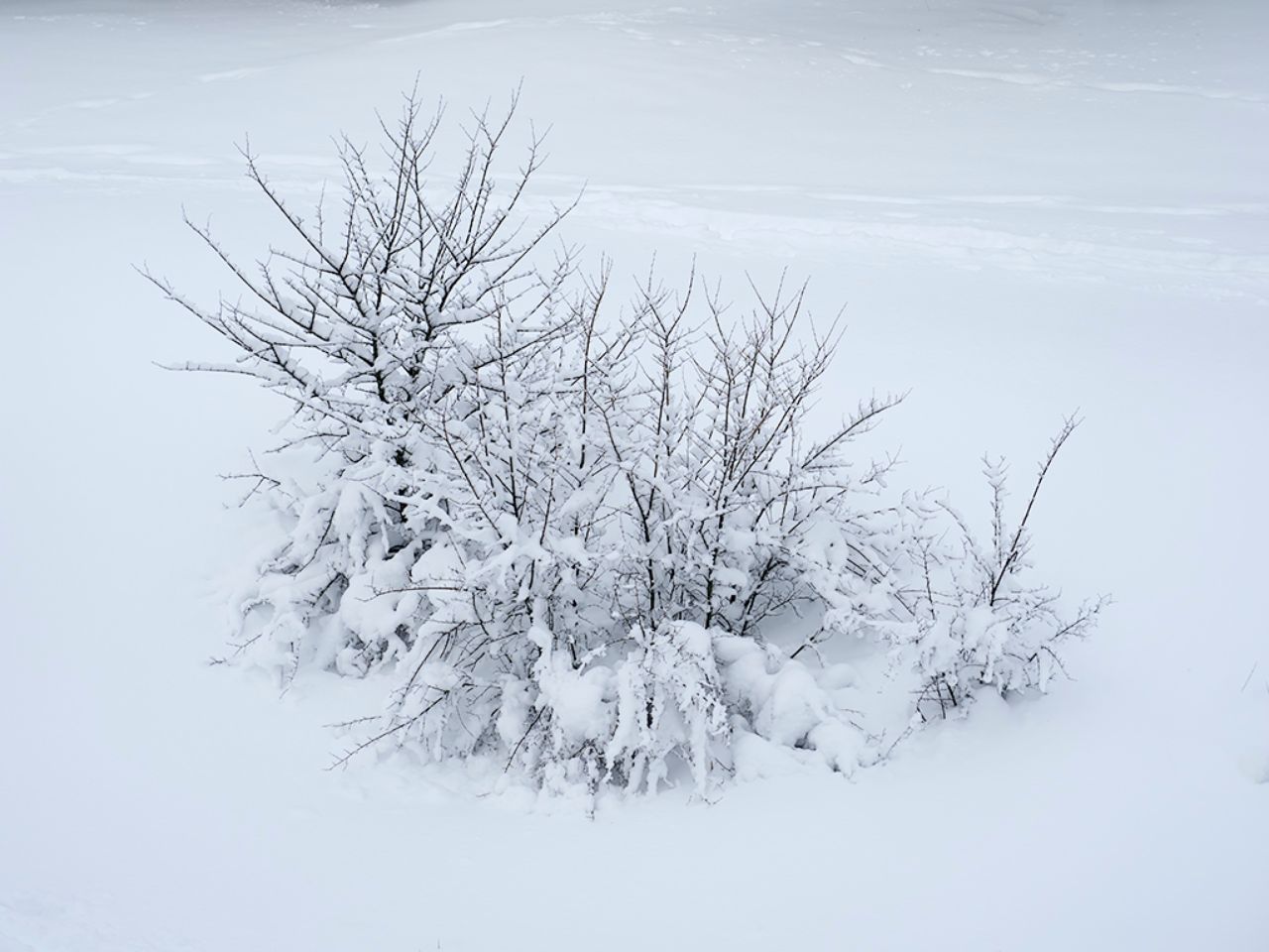 Filomena en Tres Cantos