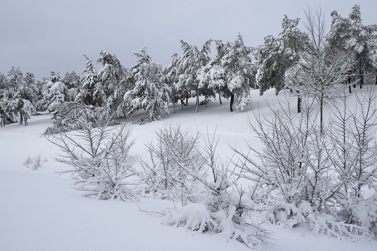 Filomena en Tres Cantos