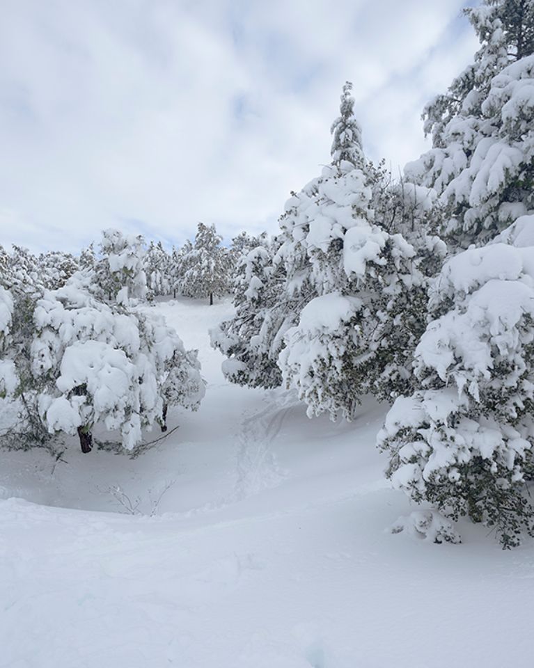 Filomena en Tres Cantos