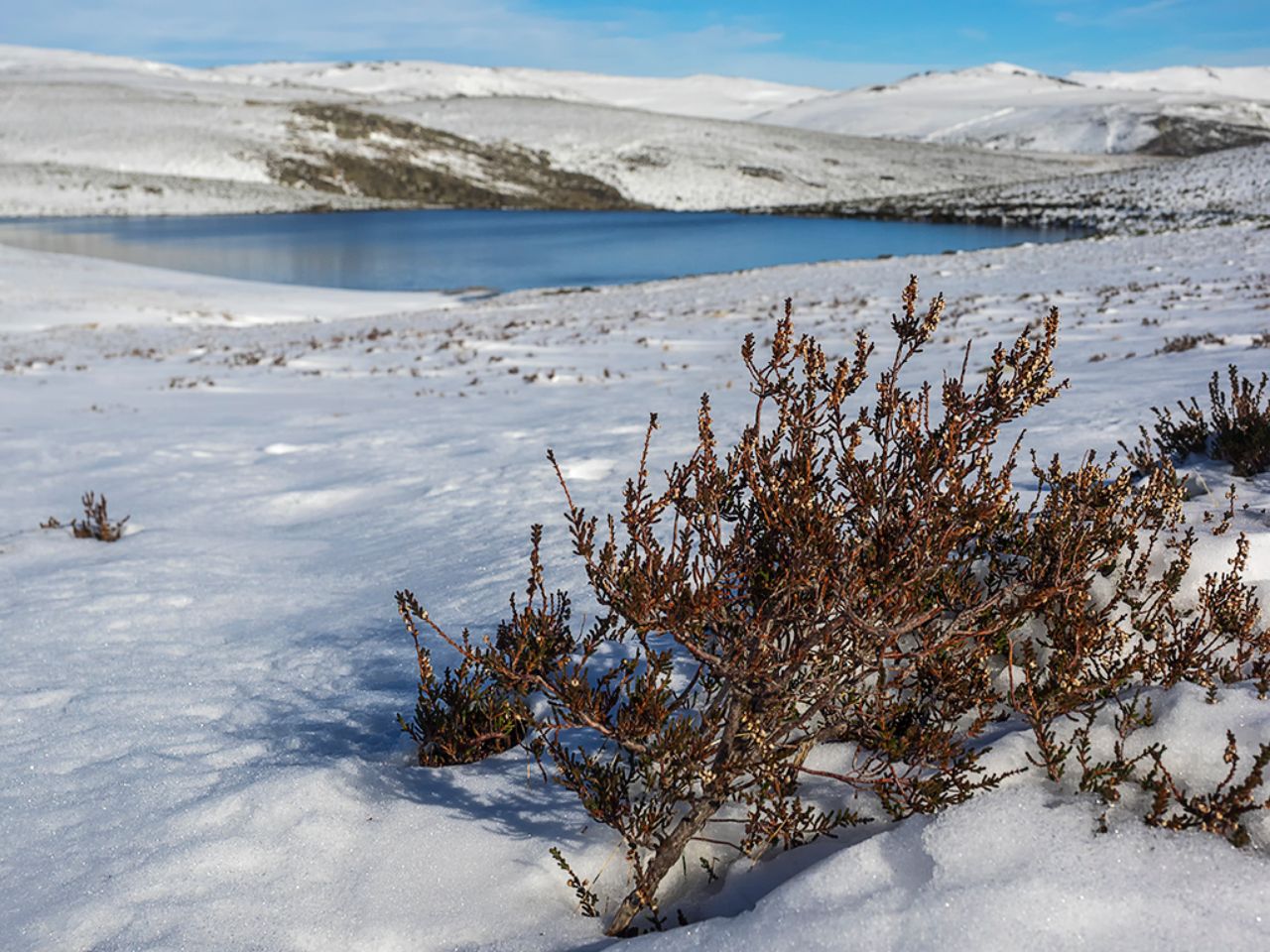 Laguna de los Peces (Sanabria)