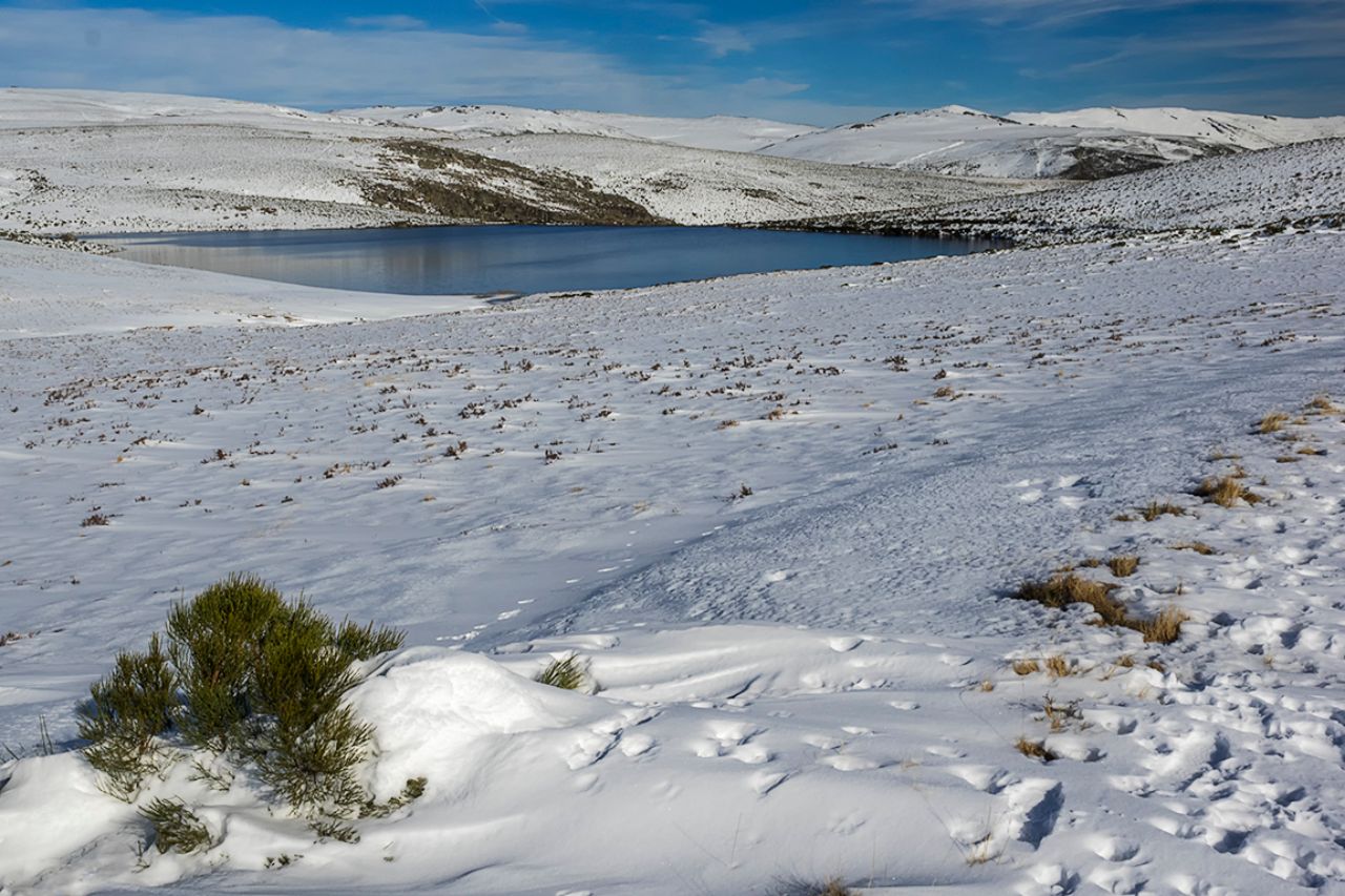 Laguna de los Peces (Sanabria)