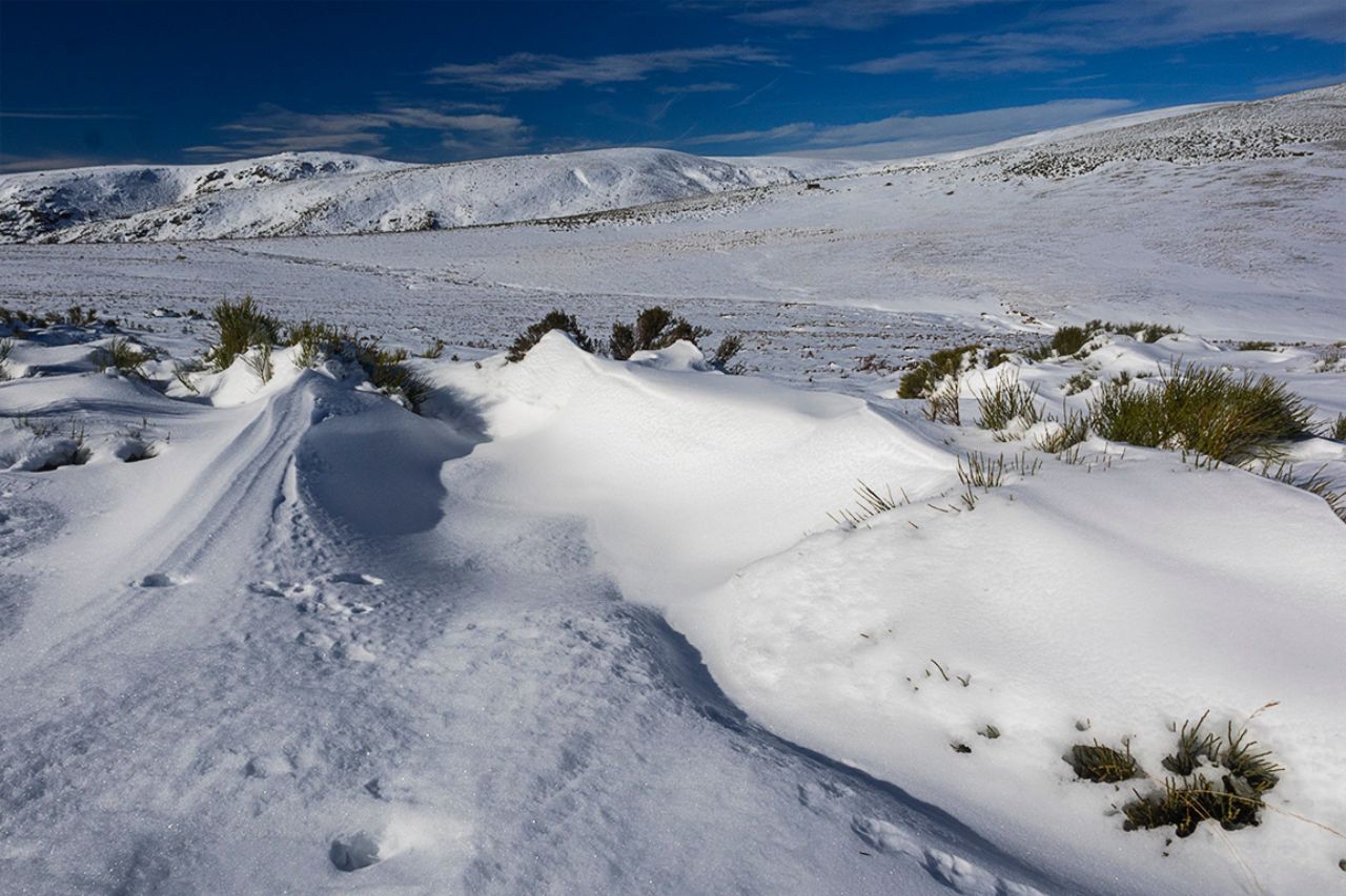 Laguna de los Peces (Sanabria)
