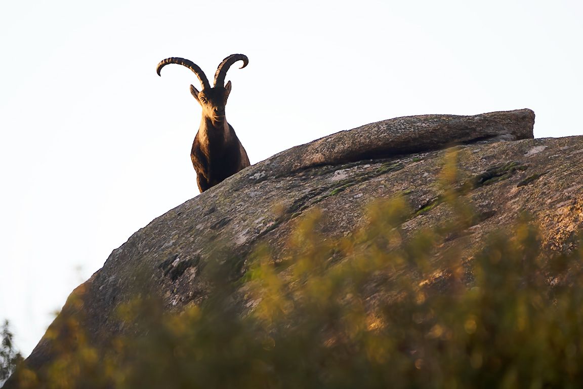 Espectacular bienvenida