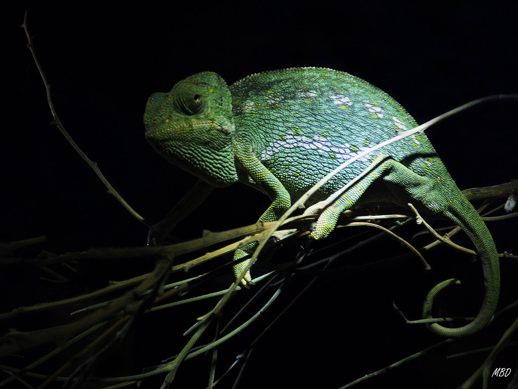 Tarifa, sep2015. En la duna, de noche, iluminando con frontales.