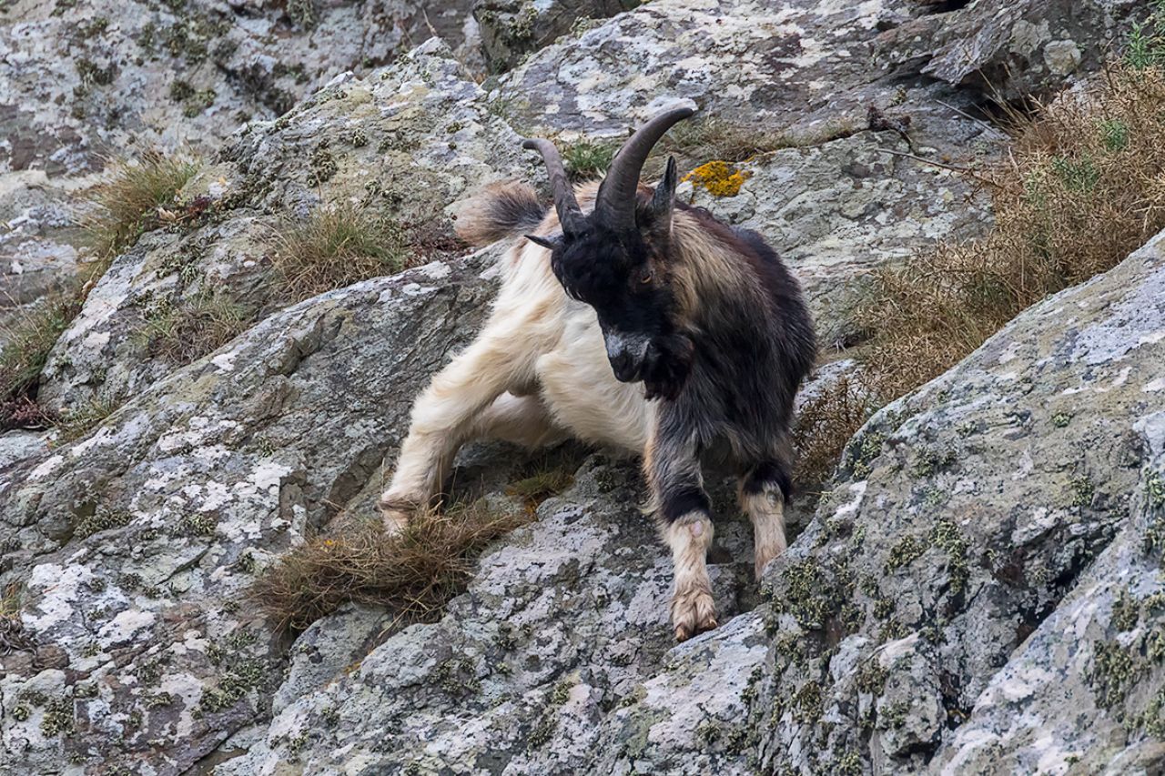 Equilibrios en la pared rocosa