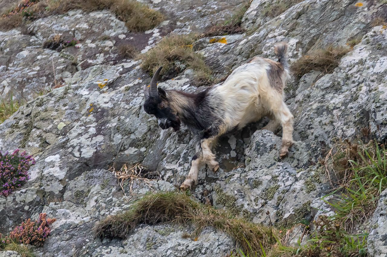 Equilibrios en la pared rocosa
