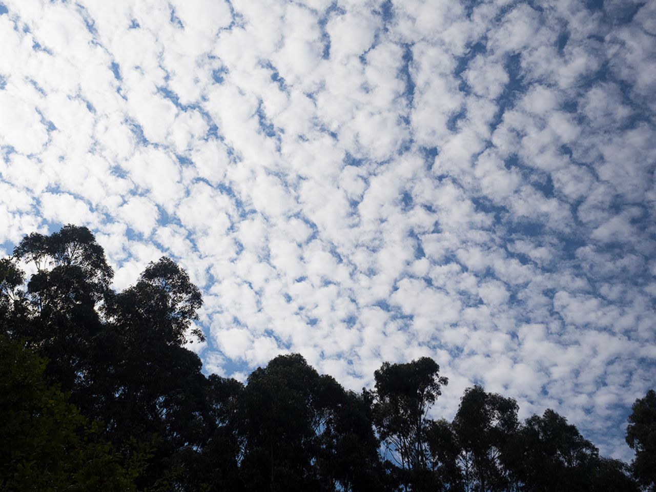 Un cielo espectacular