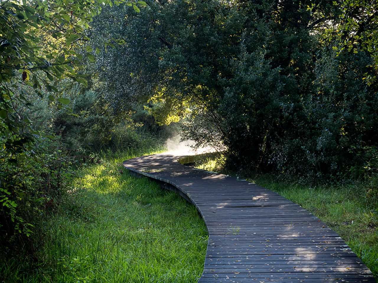 Lagunas de San Martiño