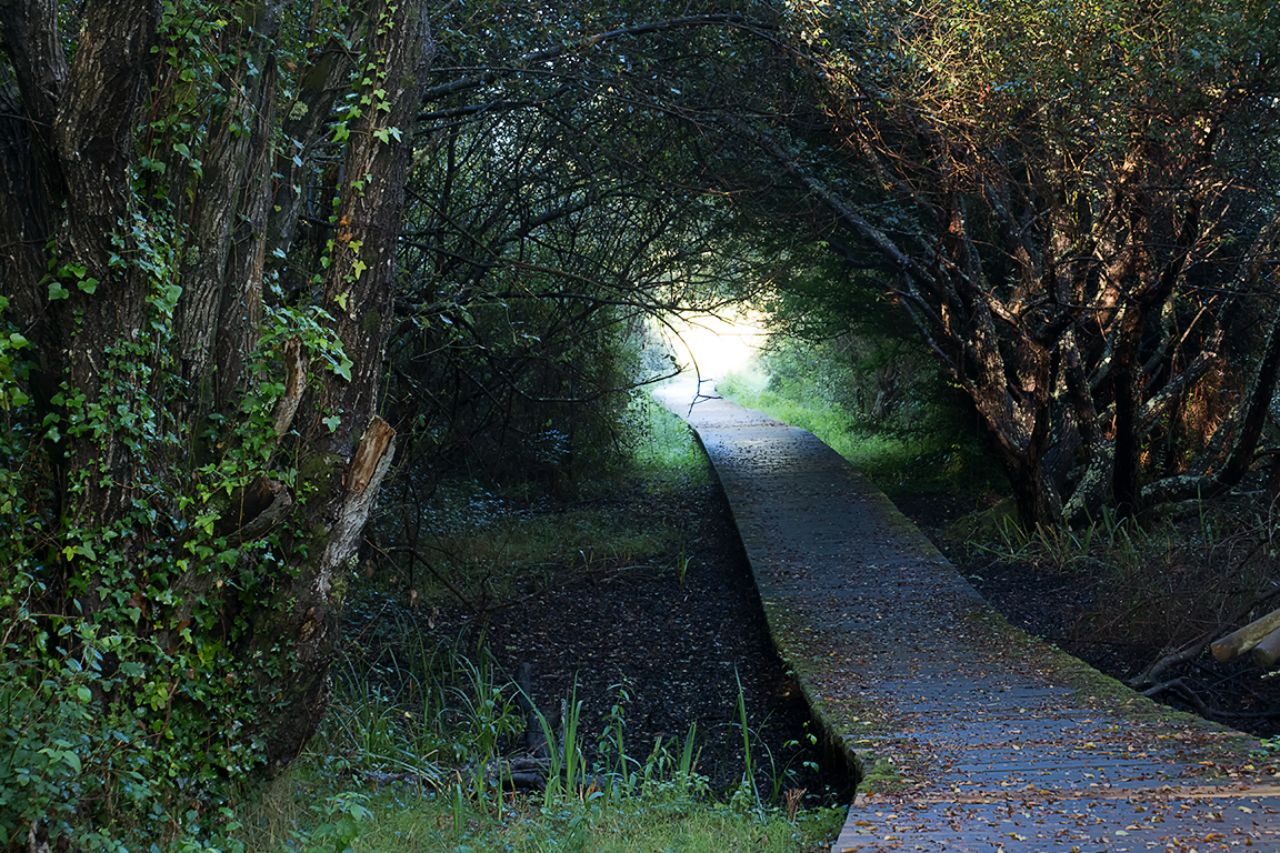 Lagunas de San Martiño