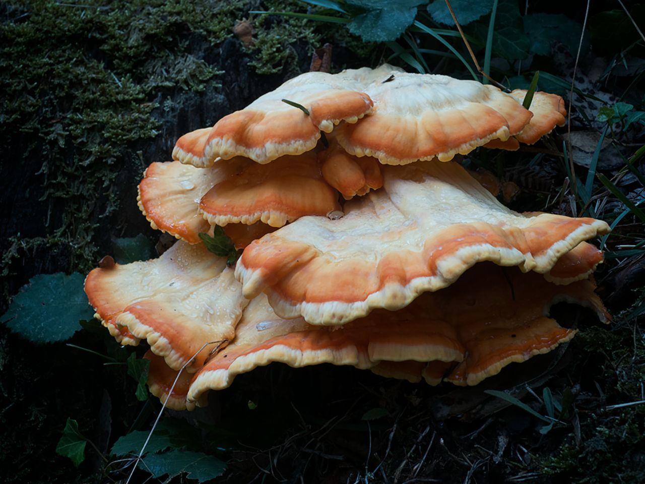 Setas que llaman la atención