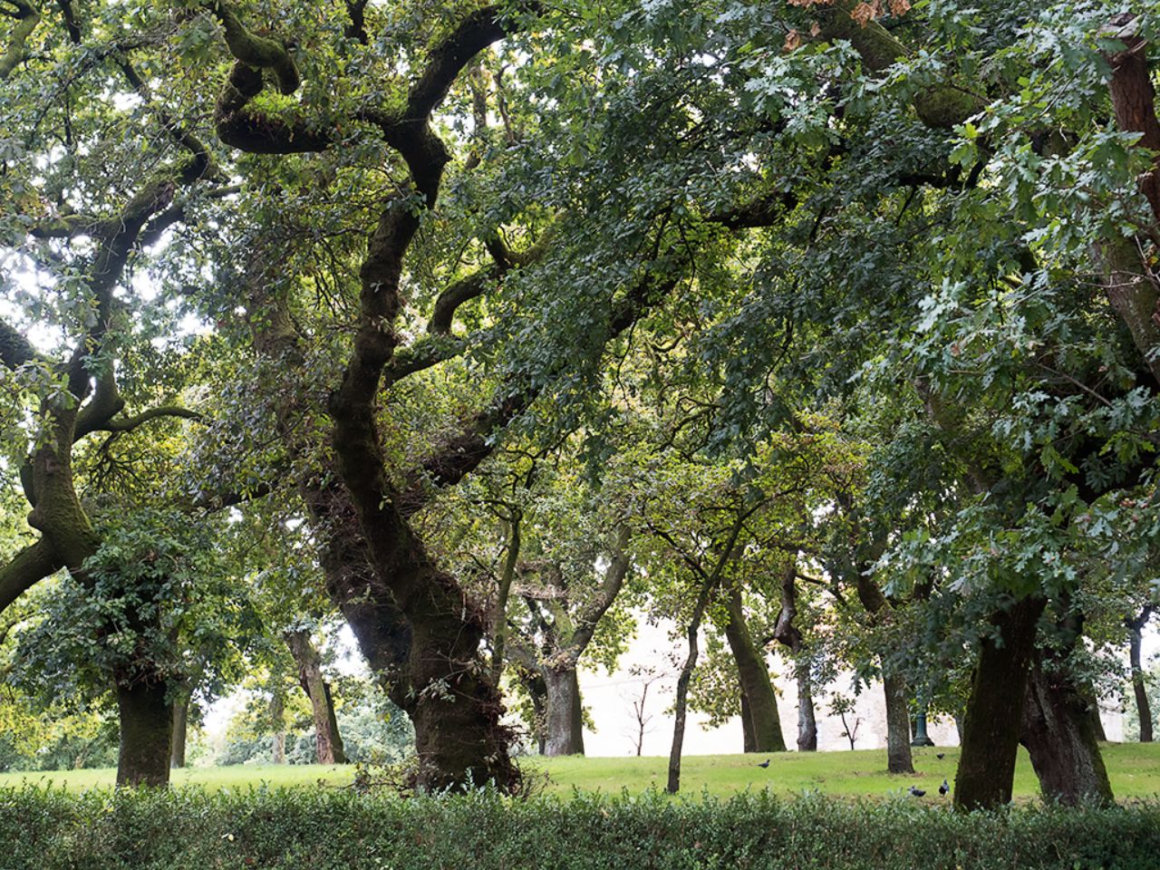 Santiago de Compostela