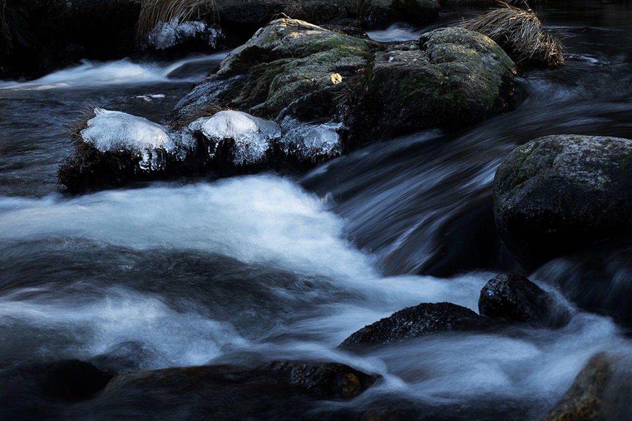 Arroyo de la Angostura