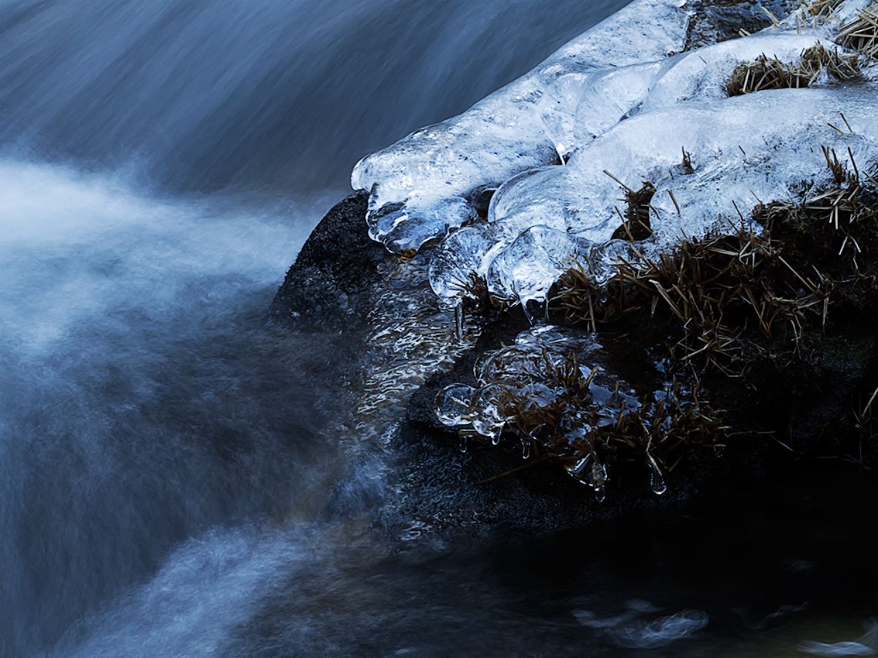 Arroyo de la Angostura