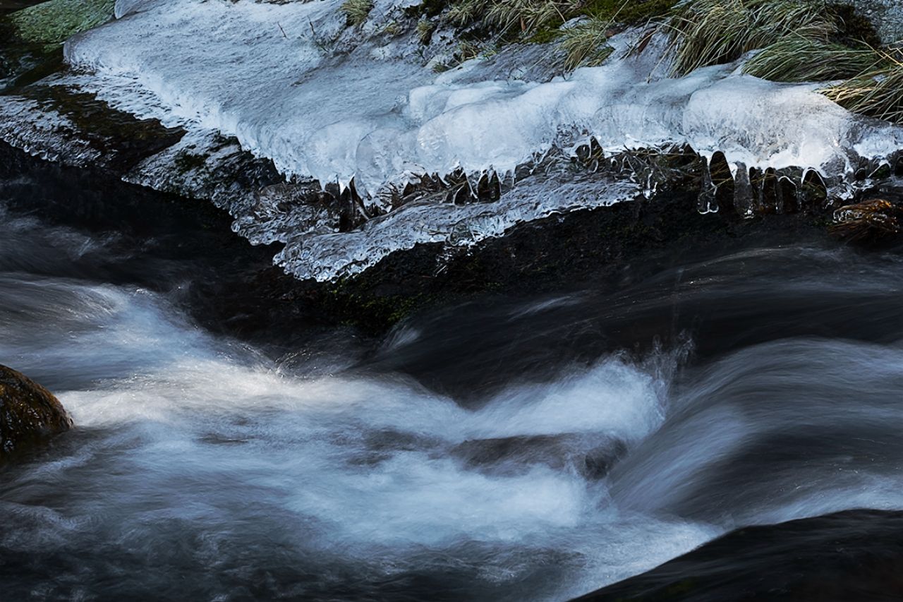 Arroyo de la Angostura