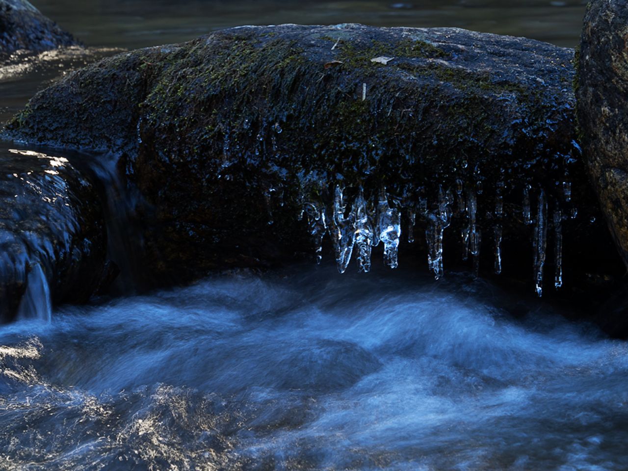 Arroyo de la Angostura