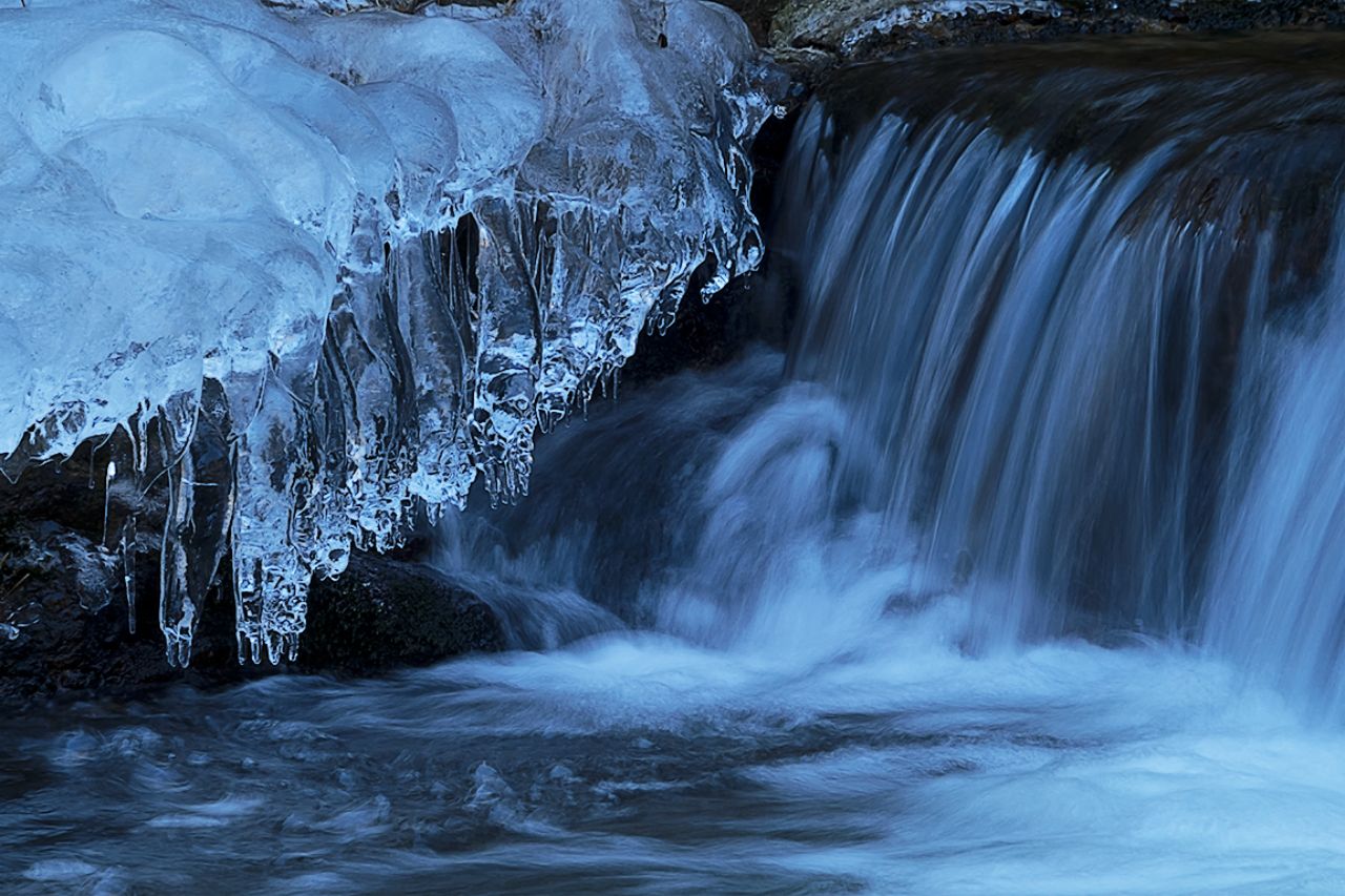 Arroyo de la Angostura