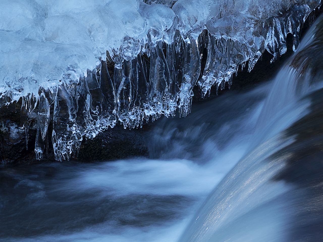 Arroyo de la Angostura